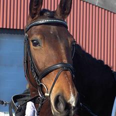 Oldenborg Miss Peri