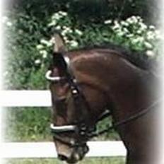 Oldenborg Miss Peri