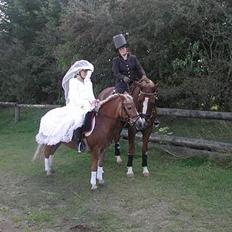 Anden særlig race Bobby Hill