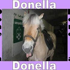 Fjordhest Donella EFTERLYSNING