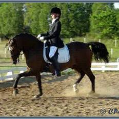 Anden særlig race Tonka