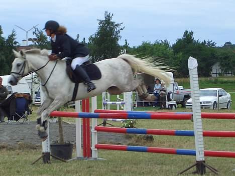 Anden særlig race Shadow - La spring billede 18