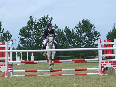 Anden særlig race Shadow - LA spring billede 19