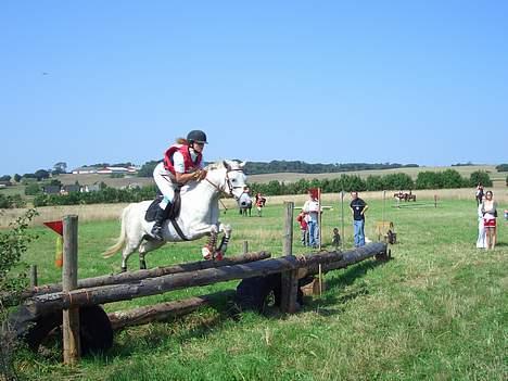 Anden særlig race Shadow - Military, Pony Let billede 20