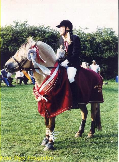 Fjordhest Kastanjegårdens Nick ** - Nick og Maria da de vandt nordisk mesteskb i springning billede 8