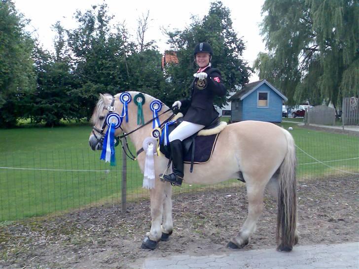 Fjordhest Kastanjegårdens Nick ** - Nick  og jeg igen til DM og Nordisk med alle vores rosetter 2007 billede 9