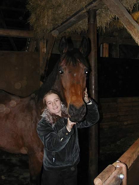 Dansk Varmblod Savannah - Savannah og miig (2006) billede 2