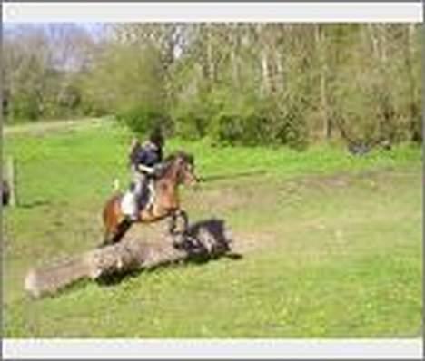 DSP Caliope *SOLGT* billede 2