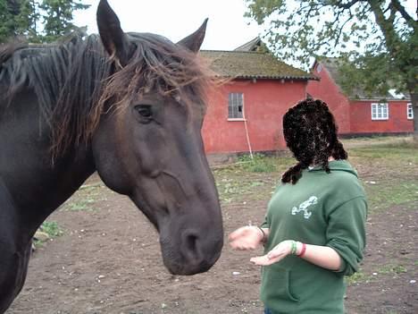 Anden særlig race Moonlight Shadow billede 3