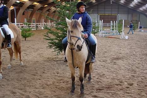 Anden særlig race Mælkebøttens Tulle UDLÅNT - har vundet spring 50 cm... weeeeeeeee billede 12
