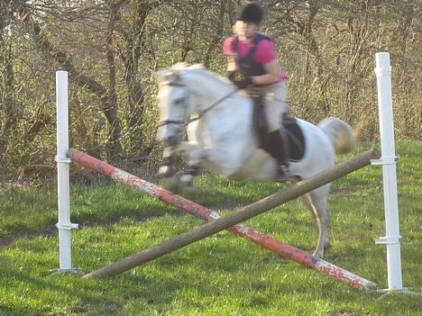 Anden særlig race Søvinds Silvermoon*SOLGT* - igen et lille kryds.. billede 7