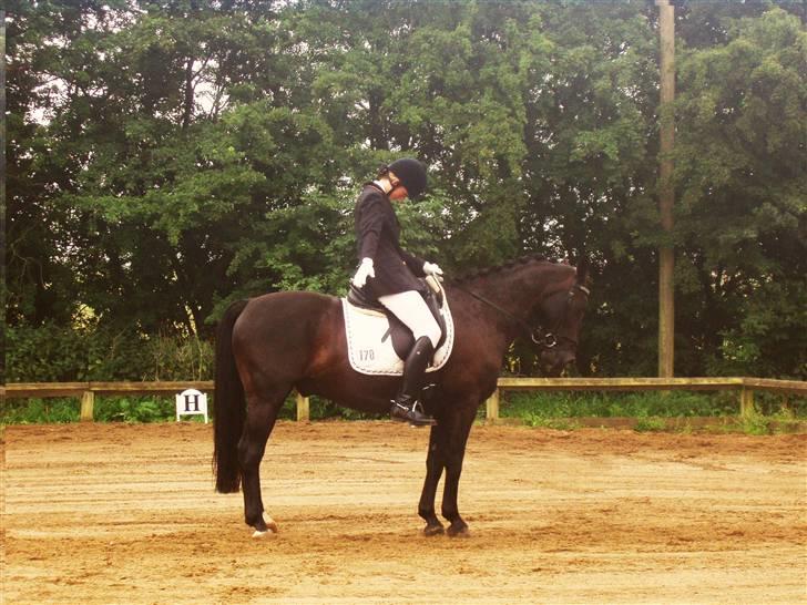 Anden særlig race Dark Shadow - Shadow og jeg i hammerum sommer ´06 la3 67.67% 3. plads  billede 3