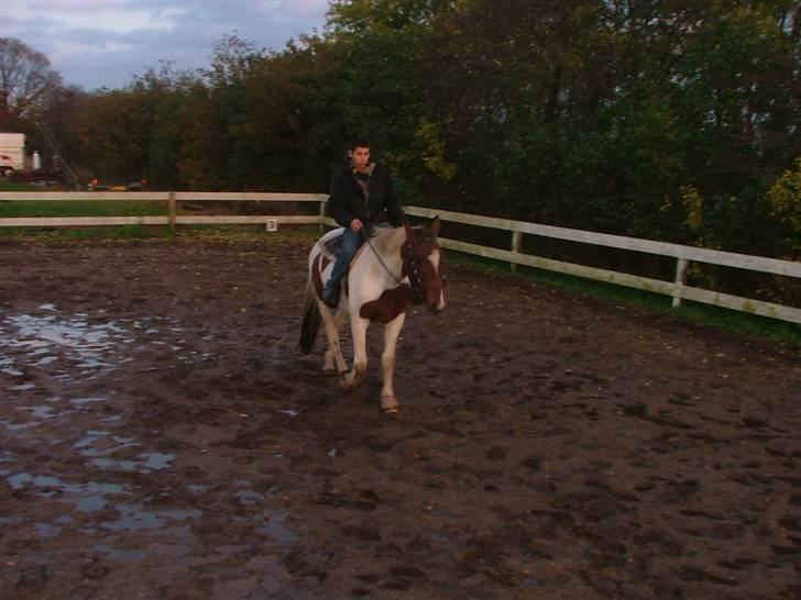 Pinto Sorenta "solgt" :* - far og mig.. lol billede 6