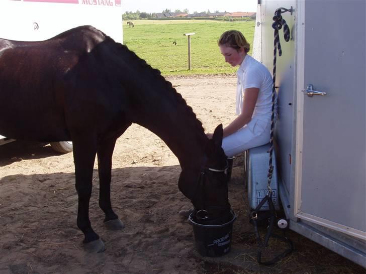 Anden særlig race Dark Shadow - Stævne i Kværnbækgård vandt Lb3 og vi vandt 3. runde af tika cup. Red 72% i tika cup. En mega varm dag, hvilket men kan se :b billede 7