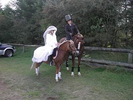 Anden særlig race Bobby Hill - Bobby og lillesøster amanda som brud billede 1