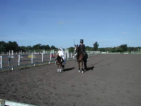 Anden særlig race Bobby Hill - Her har amanda, bobby og maiken ,mirac lige afsluttet deres pardans som brudepar billede 4