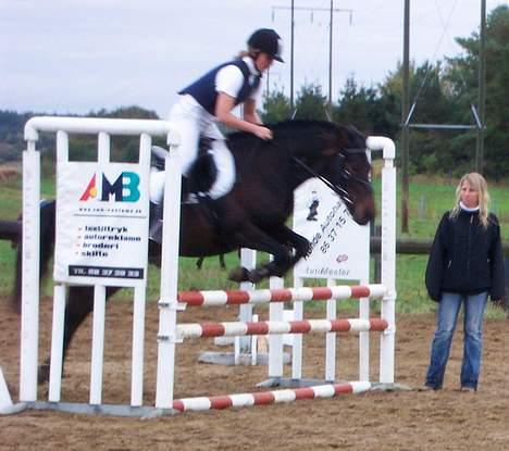 Anden særlig race Picasso billede 9