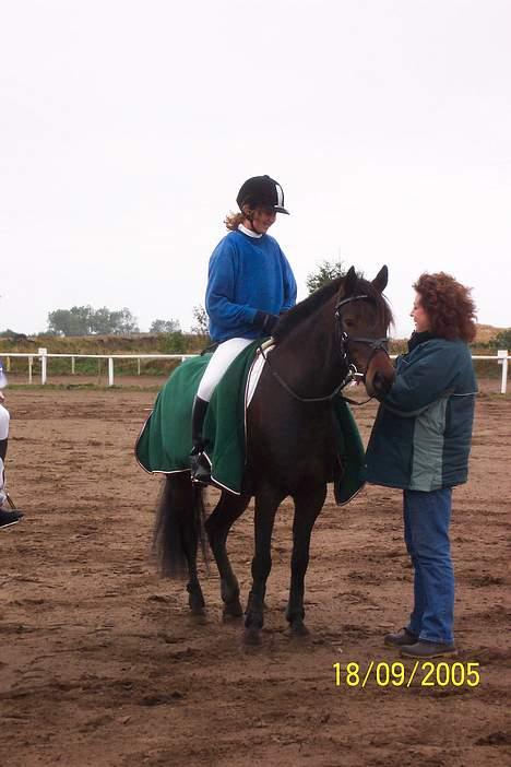 Anden særlig race Picasso billede 12