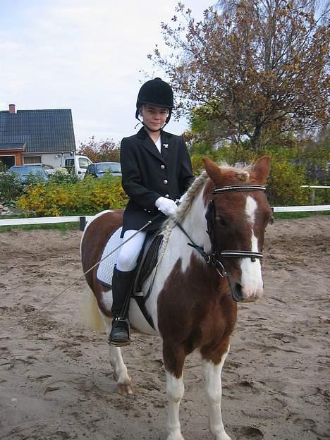 Anden særlig race Valentin - Efterår 2005! Valentin og Therese billede 20