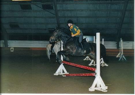 Connemara Kashmir (R.I.P) - Spring undervivsning! Kommer fint over. billede 3