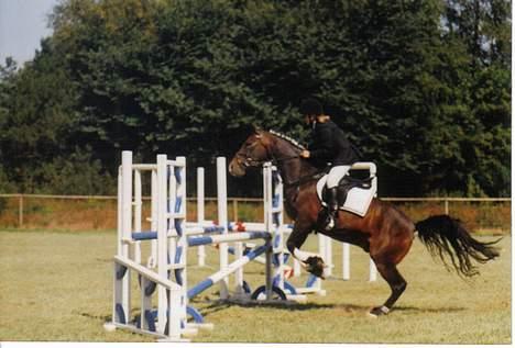 Connemara Kashmir (R.I.P) - Her springer vi LB... På team LA Eliten møder bredden . . billede 7