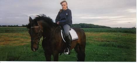 Connemara Kashmir (R.I.P) - Hvis jeg nu bøjer nakken får jeg nok ikke vinden i ørene . .(kan han nemlig ikke li) billede 11