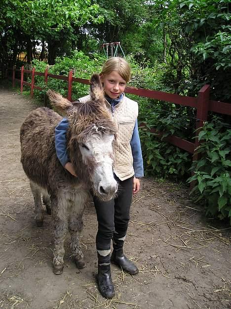 Anden særlig race mogens billede 16