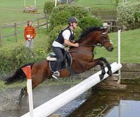 Connemara Bøgegaardens Calibra - Holte (Haregabgård) 2004 billede 9