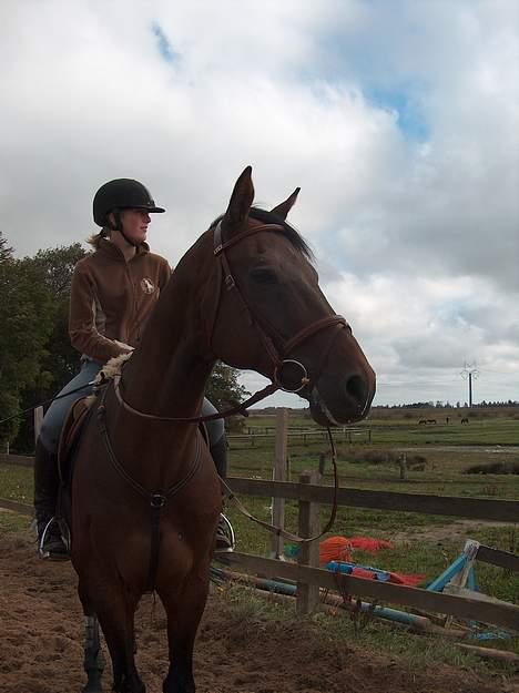 Holstener A. K´s Lasall 36 billede 8