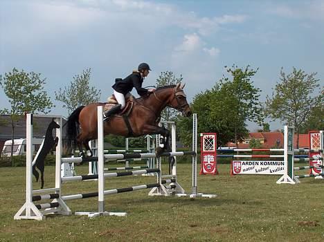 Holstener A. K´s Lasall 36 billede 10