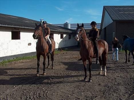 Holstener A. K´s Lasall 36 billede 11