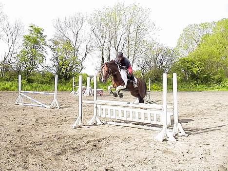 Pinto La-Ciano - Uhh... et lille spring! billede 2