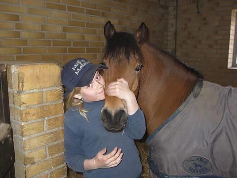 Dartmoor Molly Malone billede 17