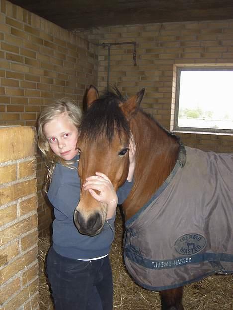 Dartmoor Molly Malone billede 18