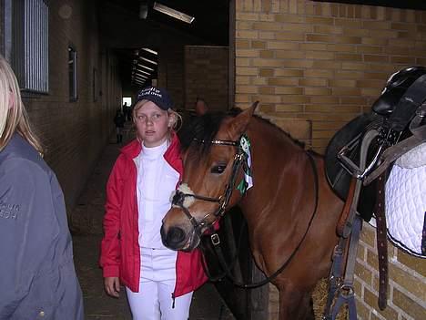 Dartmoor Molly Malone billede 19