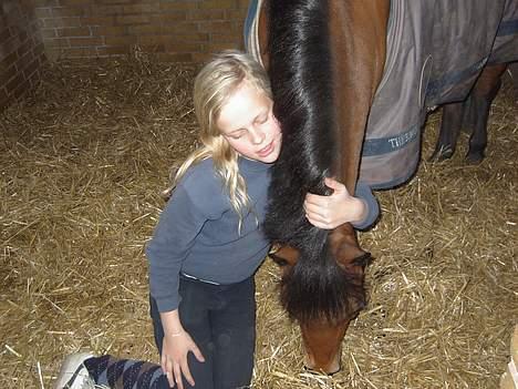 Dartmoor Molly Malone billede 20