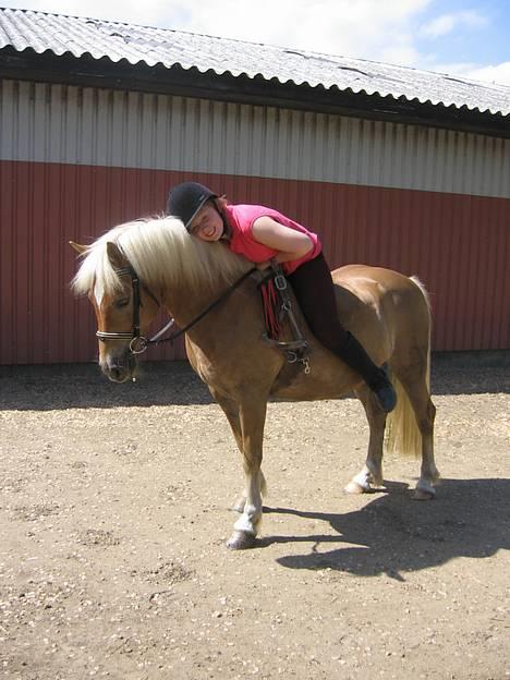 Haflinger Gravenshoveds Omira - Mig og Omira <33 (Tag jer ikke af mit ansigtsudtryk ;b Jeg var bare rigtig glad for Omira den dag ;-) billede 11