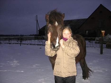 Islænder Prenna (udtales) Trenna  billede 4