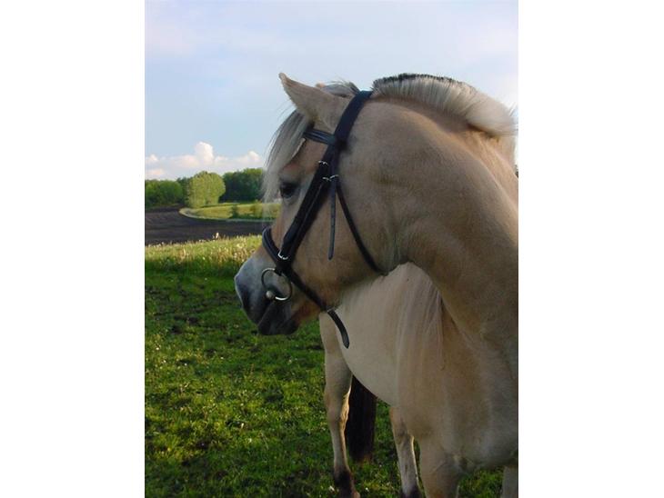 {{currentPhoto.altText}} billede {{currentPhoto.number}}