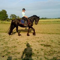 Frieser Mara (Tilred)