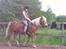 Haflinger Sandra. - Orrh søde Sandra du er bare dejlig !!!
