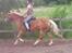 Haflinger Sandra. - Sabrina din Kegle!! du er ikk en køn rytter lige der =( Sandra´s kommentar-- Nogen ska jo være kønne xD