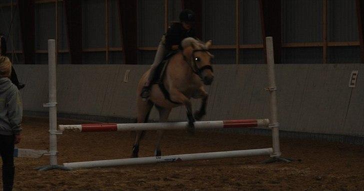 Fjordhest • Fimpe (Freja) - det kan godt være at hun ikk springer 130 til træning men jeg er alligevel stolt af min prinsesse! -og jeg er ligeglad med din mening! :D billede 7