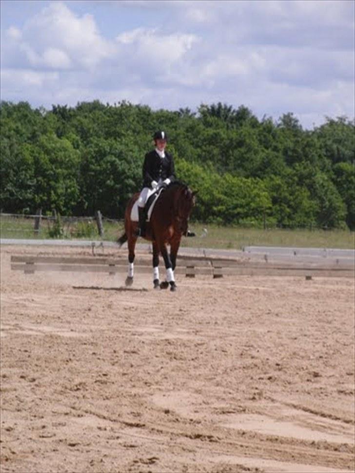 Anden særlig race Balarina Part *SOLGT* - 16# Fordi vi ikke vil vinde. Men bare lære <3 - det er dog meget sjovere når vi vinder <3 :* Foto; Josephine (; billede 16