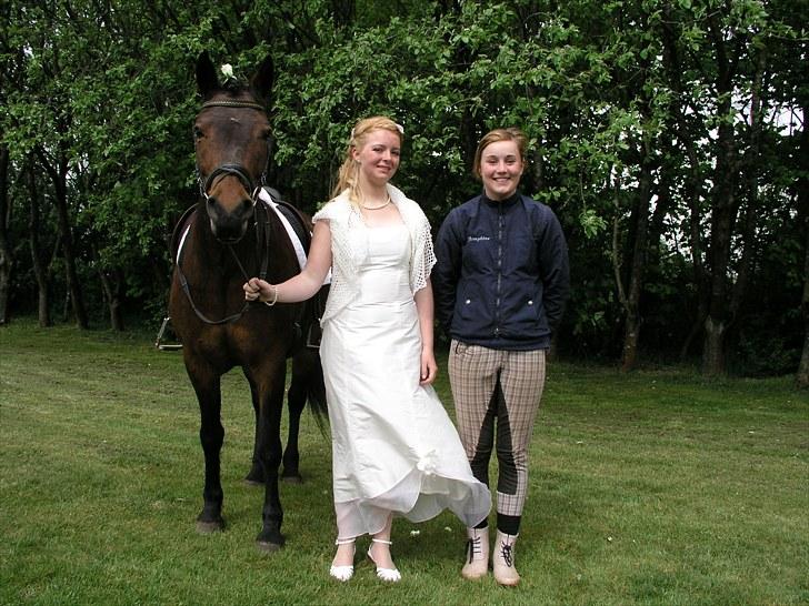 Anden særlig race Balarina Part *SOLGT* - 17# Fordi vi har sååå meget til fælles. Og at Josephine har ført os sammen <3 Mit liv ville være tomt uden dig søde (både Josephien og Balarina!) men nu er det tomt ;´( <3 Foto: "onkel" John <3<3 billede 17