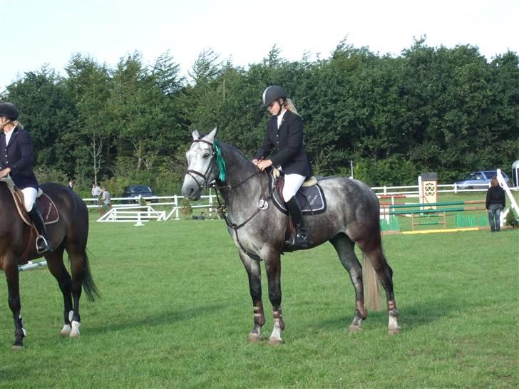 Holstener Claudius (Dunkel)  - Dunkel til præmieoverrakelse :) <3 Elsker ham <3  billede 9