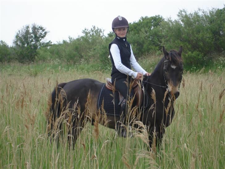 Welsh Partbred (Sec F) Backersdals Gaston  - Mig og Gaston. Foto: Mor billede 5
