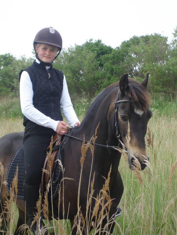 Welsh Partbred (Sec F) Backersdals Gaston  - Gaston og mig. Foto: Mor billede 7