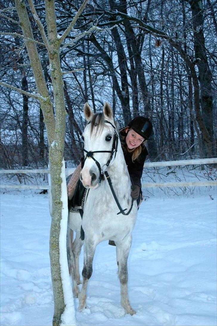 DSP Hannibal - sneee <3 2010 billede 4