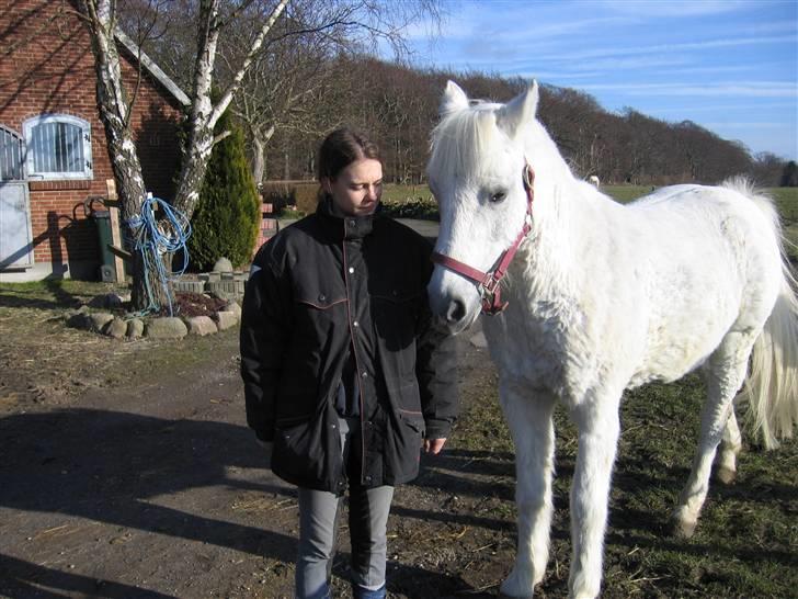 Anden særlig race Husar - Husars sidste dag - snøft billede 9